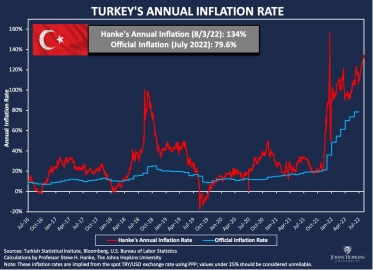 Yeni Türkiye Modeli: Dövizistan