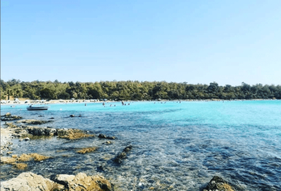 Milas'ın Bir Köşesi: Haydar koyu