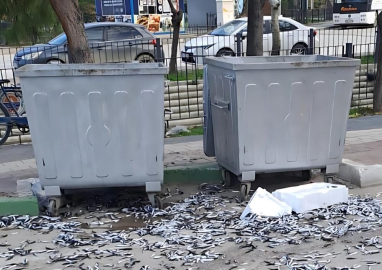 Çevre Düşmanı Bozuk Balıkları Yola Döktü