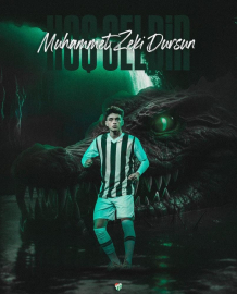 Zeki Dursun, Bursaspor'da