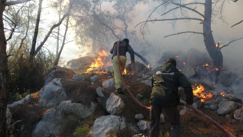 Antalya'da Kopan Yüksek Gerilim Hattı Orman Yangınına Neden Oldu