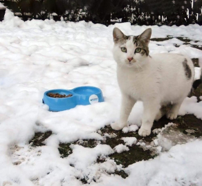 Can Dostlara Şefkat Eli
