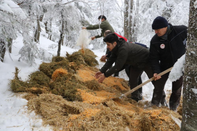 Doğa Koruma ve Milli Parklar Uludağ'daki Yaban Hayvanlarını Unutmadı
