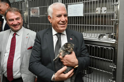 Büyükşehir’den Can Dostları İçin Önemli Proje