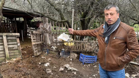 Aç Kurtlar Köye İndi, Hayvanlar Telef Oldu