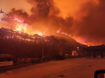 Güney Kore yangının bilançosu ağırlaşıyor