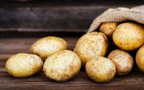 Zam rekortmeni patates