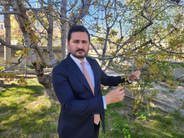 'Kraliyet Kirazı'nı don vurdu