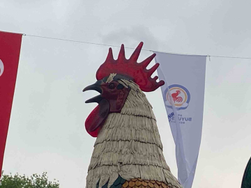 Denizli Horozu Doludan Nasibini Aldı