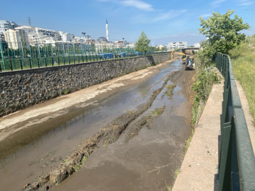 Derelerde yaz temizliği