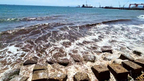 Poyraz Sonrası Deniz Yüzeyi Kızıl Yosunla Kaplandı