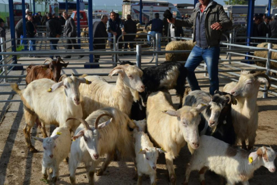 Balıkesir'de 15 mahalle karantinada