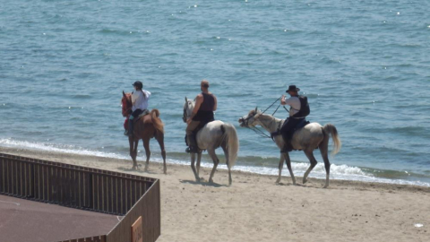 Balıkesir'de atlar plaja indi