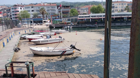 Balıkçıları müsilaj vurdu