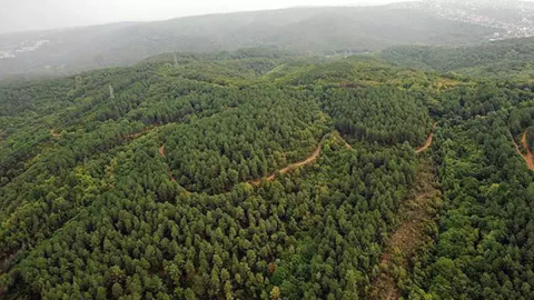 Balıkesir'de ormanlara giriş yasağı