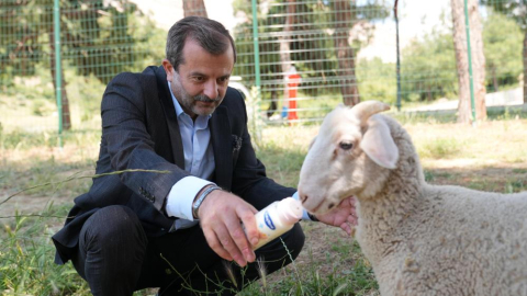 Bursa'ya yeni bir hayvanat bahçesi