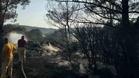 URLA’DA MANGAL FACİASI: ORMAN YAKAN ŞAHIS TUTUKLANDI