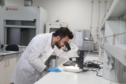 Yeni protein kaynağı fındık küspesi