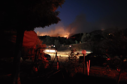 Aydın'da Orman Yangını Gece Boyu Süren Çalışmalarla Söndürüldü