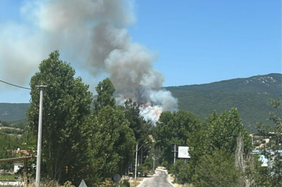 BURSA YENİŞEHİR'DE ORMAN YANGINI