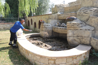 EFES SELÇUK’TA HAŞEREYE KARŞI ORTAK MÜCADELE