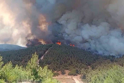 FOÇA’DA ORMAN YANGINI KONTROL ALTINA ALINAMIYOR