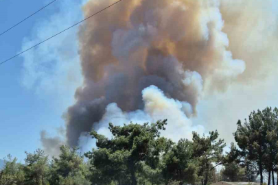 BORNOVA’DA BAŞLAYAN YANGIN ORMANA SIÇRADI