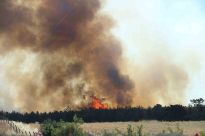 BORNOVA’DA ORMAN YANGINI: YAKAKÖY’DE EVLER TAHLİYE EDİLDİ