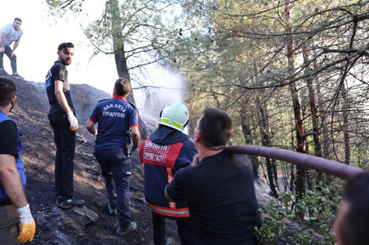 SAKARYA'DAKİ ORMAN YANGININA 3 GÖZALTI