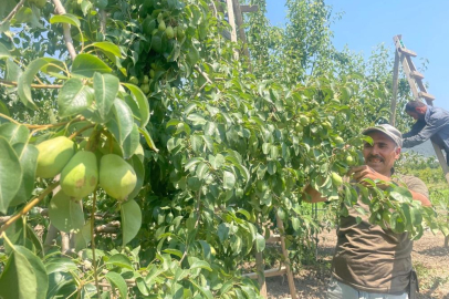 ARMUT DALINDA 40 LİRA