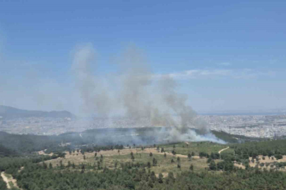 BUCA ORMANLARINDA YANGIN BAŞLADI