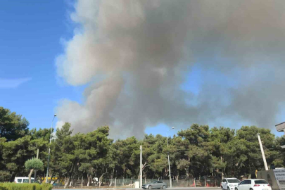 BUCA KAYNAKLAR’DA ORMAN YANGINI: MÜDAHALE SÜRÜYOR