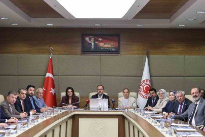 TBMM’DE ENGELLİ SORUNLARI KOMİSYONU OLUŞTURULDU