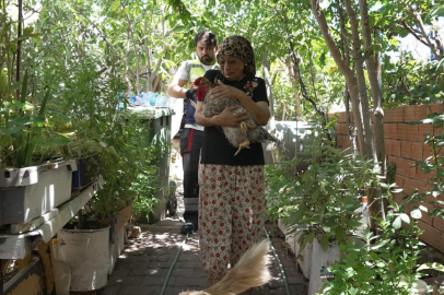 İZMİR’DE YANGINDAN HAYVAN KURTARMA OPERASYONU