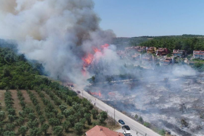 ORMAN YANGINLARINA KARŞI SEFERBERLİK ÇAĞRISI