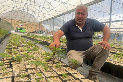 ULUDAĞ ETEKLERİNDE BİR İLK