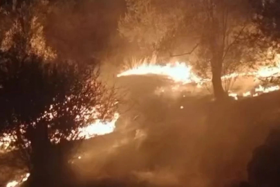 BALIKESİR’DE ORMAN YANGININI SÖNDÜRME ÇALIŞMALARI SÜRÜYOR