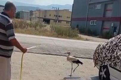 SICAKTAN BUNALAN LEYLEĞİ HORTUMLA SERİNLETTİ