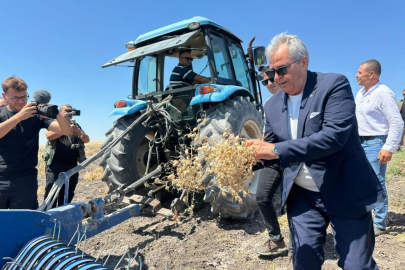 BANDIRMA'DA NOHUT HASADI BAŞLADI