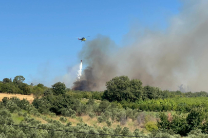 YER YİNE ÇANAKKALE: TARIM ARAZİSİNDE BAŞLADI ORMANA SIÇRADI
