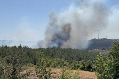 ÇANAKKALE 'DE ORMAN YANGINI