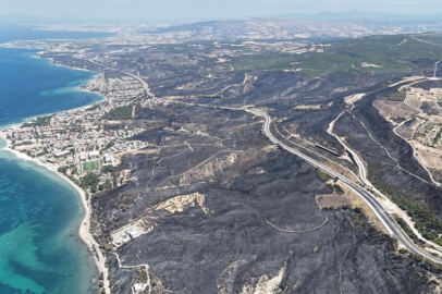 ÇANAKKALE'DE ALEVLERDEN GERİYE BU TABLO KALDI