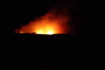 ÇANAKKALE BAYRAMİÇ'TE ORMAN YANGINI