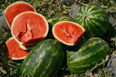 TARLADAN SOFRAYA FİYATI 30'A KATLANIYOR
