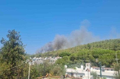BODRUM ’DA ORMAN YANGINI BAŞLADI