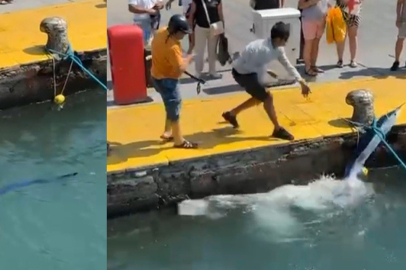 BODRUM'DA NESLİ TEHLİKE ALTINDAKİ BALIĞI ZIPKINLA VURDULAR