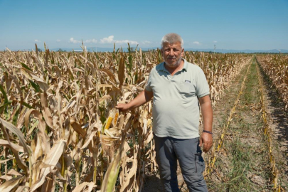 PLANSIZ ÜRETİM ÇİFTÇİNİN BELİNİ BÜKÜYOR