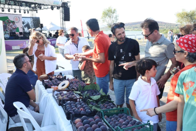 AKÇALAR - FADILLI İNCİR FESTİVALİ’NDE LEZZET ŞÖLENİ