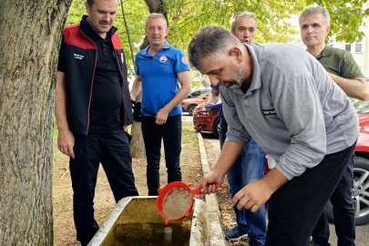 BURSA 'DA GÖL VE GÖLETLERE 2,2 MİLYON BALIK BIRAKILACAK