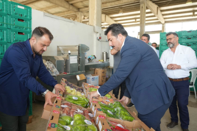 YENİŞEHİR TOPRAKLARINDA YETİŞEN ÜRÜNLER DÜNYA PAZARINDA